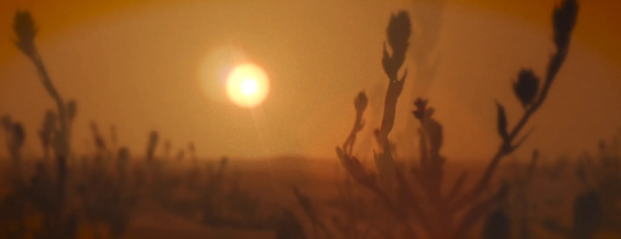 Screen content: a golden sun over the desert