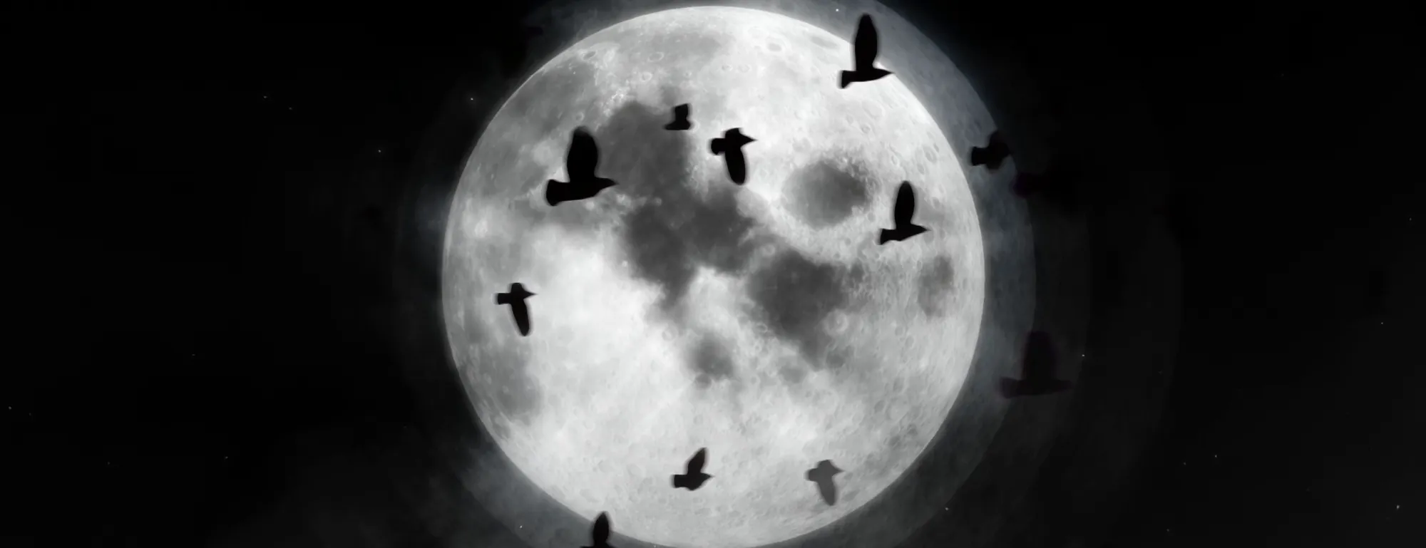 Screen content: a grey full moon with birds crossing it